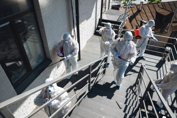 Best Attic Mold Removal  in Marmet, WV