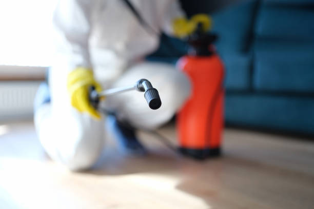 Best Dehumidification Services  in Marmet, WV