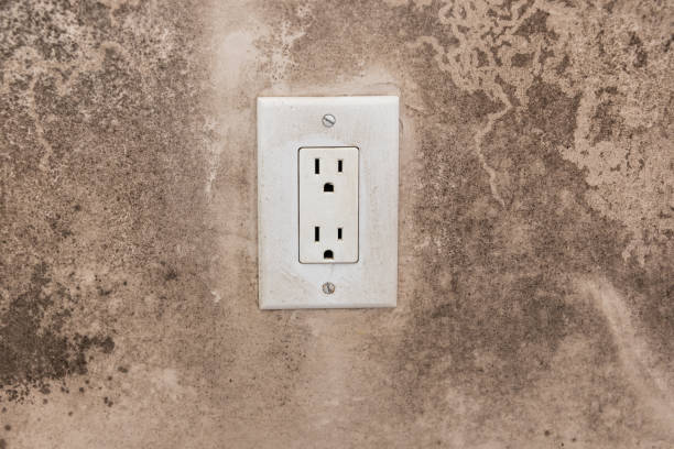 Mold Odor Removal Services in Marmet, WV